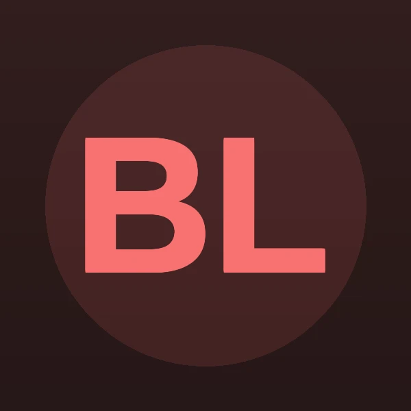 Barry Louis Lieberman - Attorney