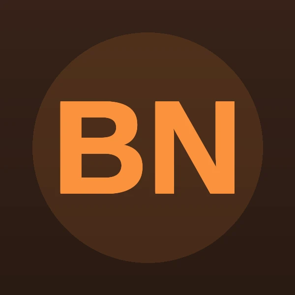 Berly D Nelson - Attorney