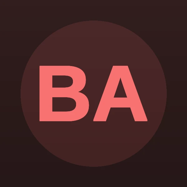 Bradley A. Amys - Attorney