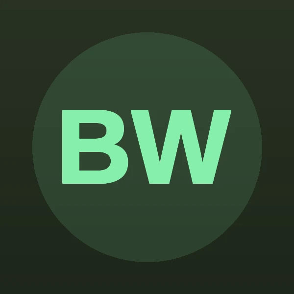 Brian James Walsh - Attorney