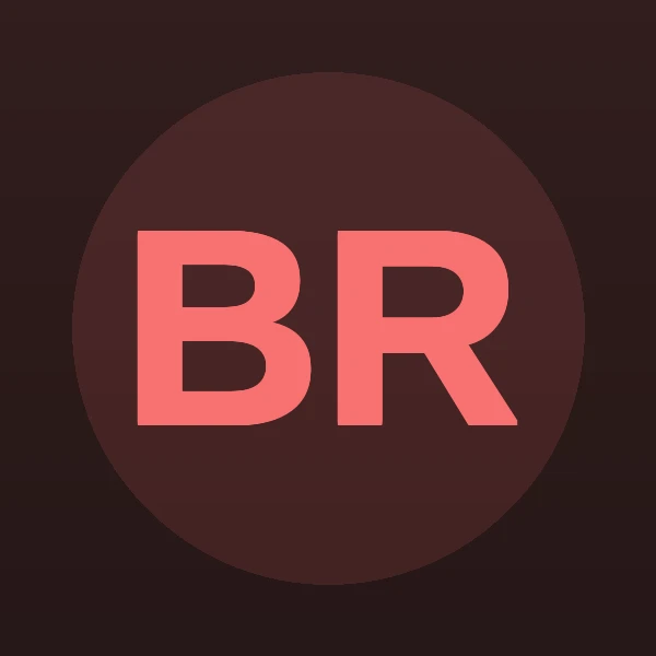 Lawyer Bruce William Rapport