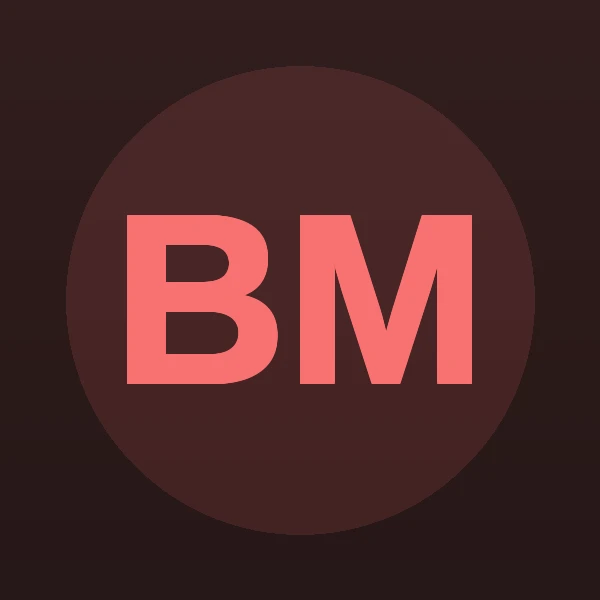 Bryan J Maroney - Attorney