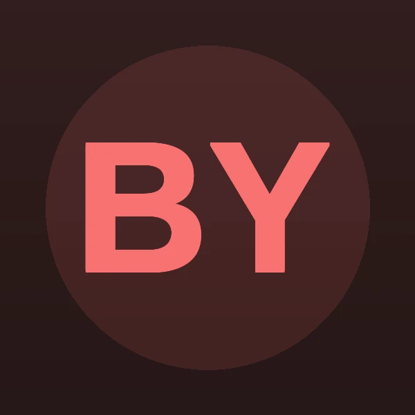 Bryant Llewellyn Young - Attorney