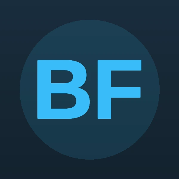 Burton T. Fried - Attorney