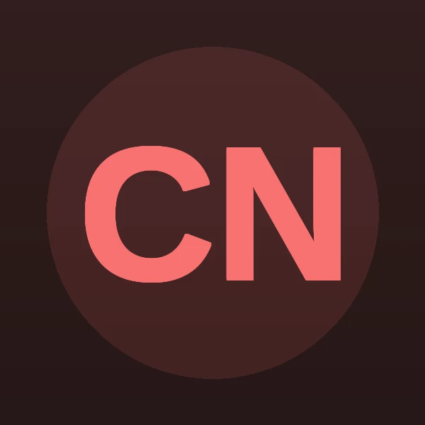 Christopher W Newton - Attorney