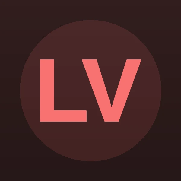 Lee Vinje - Attorney