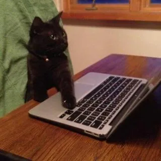 Stefanie Lee Kyser - Attorney