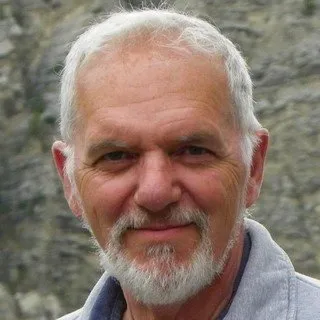 Ronald Lewis - Attorney