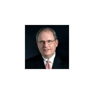 David Louis Raybin - Attorney