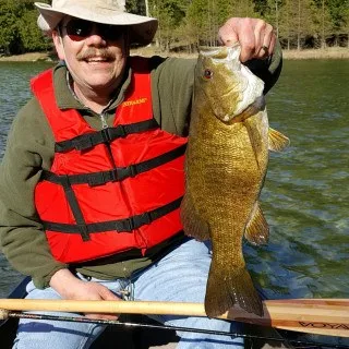 John Daugherty - Attorney