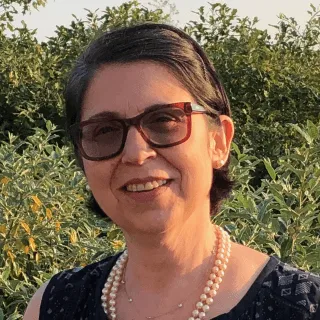 Lauren G Klein - Attorney